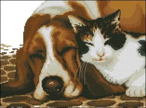 Cute Pets Cute Pets