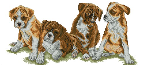 Playful Puppies