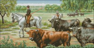 Toros