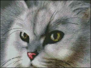 Серебристая кошка