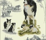 Border Collie Sampler Border Collie Sampler