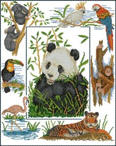 Wildlife of the World Sam
