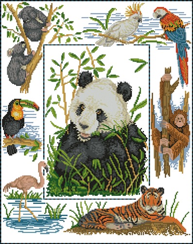 Wildlife of the World Sam
