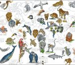 World map World map