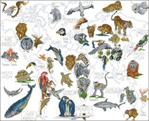World map