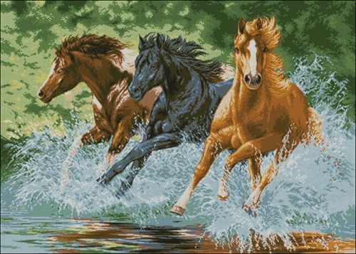 Cai in Galop