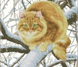 Рыжий кот на дереве Рыжий кот на дереве