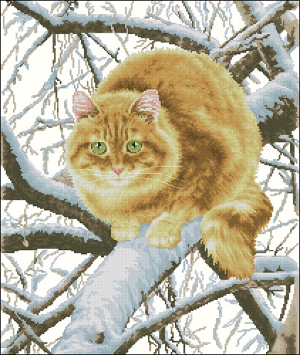 Рыжий кот на дереве