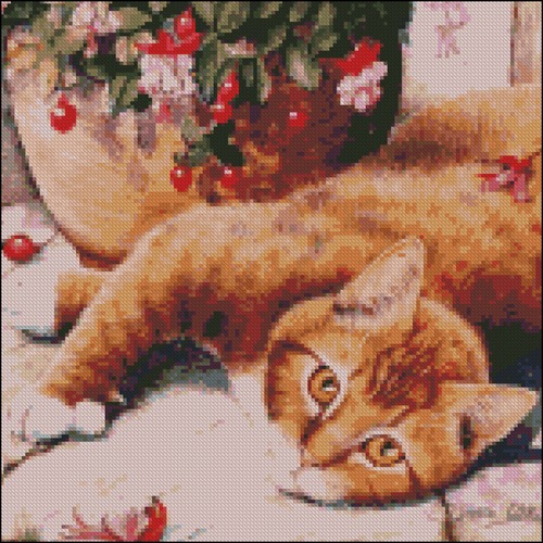 Red cat