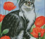 Кот в маках Кот в маках