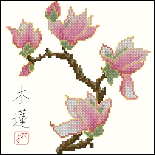 Magnolia