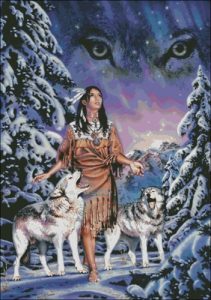 Wolf Aurora Wolf Aurora