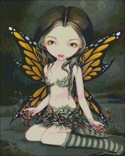 Fairy With Dried Flowers