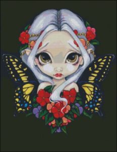 Impatiens Fairy