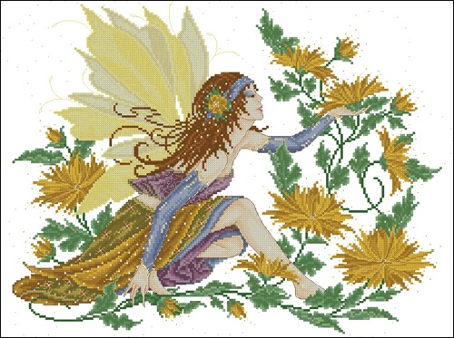 Chrysanthemum Fairy