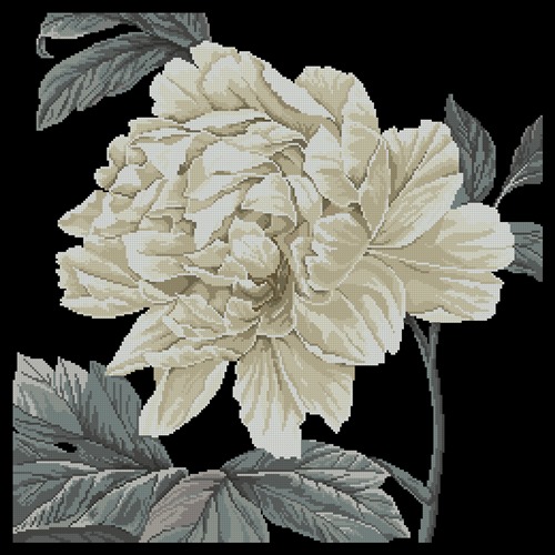 Full Bloom