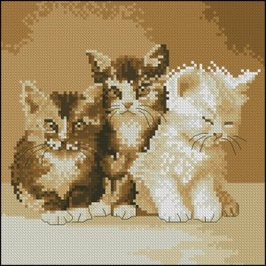 Three Cute Cats Three Cute Cats