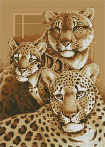 Дикие кошки
