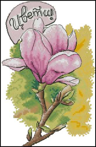 Pink Magnolia Branch