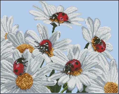 Ladybugs on Daisies