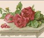 Trandafiri Rosii / Красные Розы Trandafiri Rosii / Красные Розы