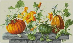Bostani Pumpkins Bostani Pumpkins