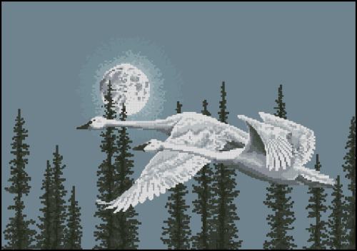 Flying Swans