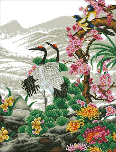Crane Paradise
