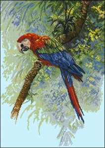 Parrot / Попугай