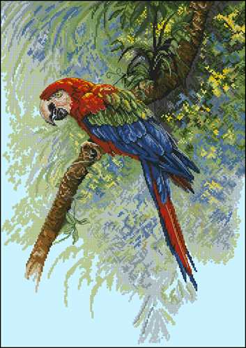 Parrot / Попугай