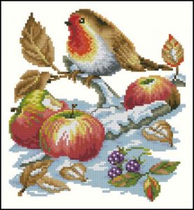 Robin in Winter