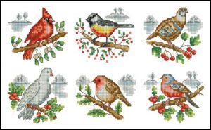 Winter birds Winter birds