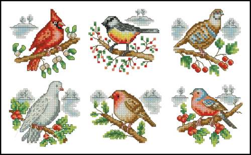 Winter birds