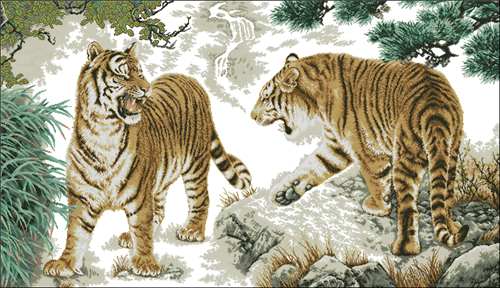 Two Tigers by the Waterfall