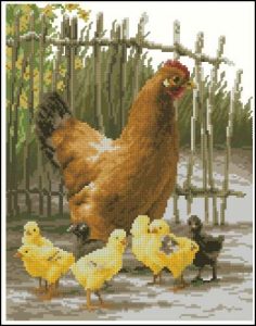 Lanarte (Chickens)