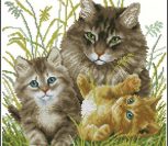 Веселые котики Веселые котики